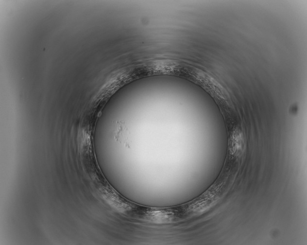 X0000096170522200801251154