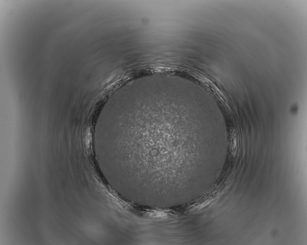 X0000096170523200801251154