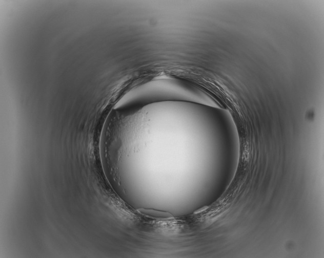 X0000096170524200801251154