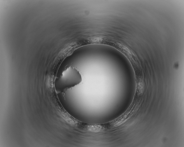 X0000096170525200801251154