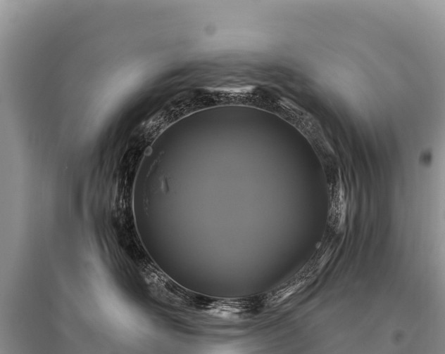 X0000096170526200801251154