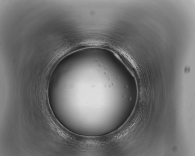 X0000096170529200801251153