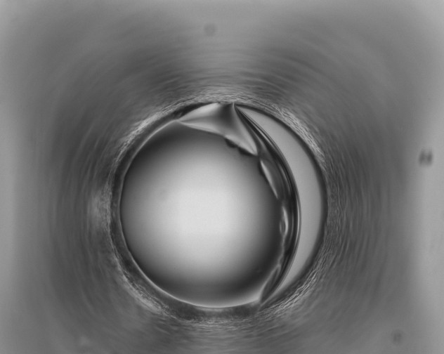 X0000096170530200801251153