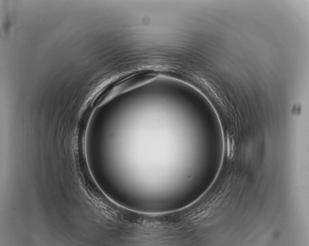 X0000096170531200801251153