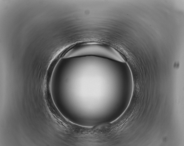 X0000096170532200801251153