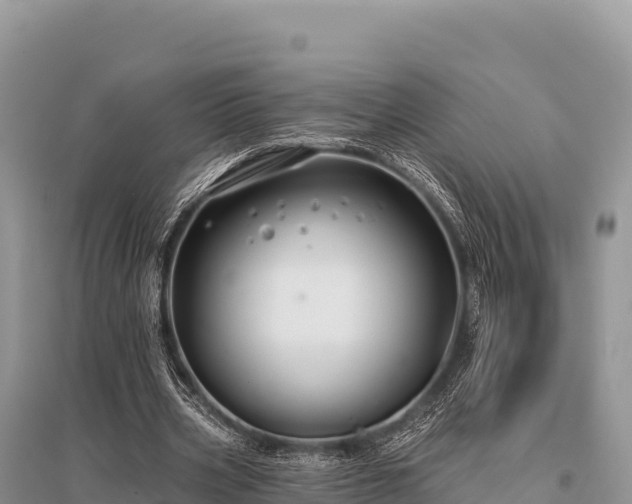 X0000096170533200801251153