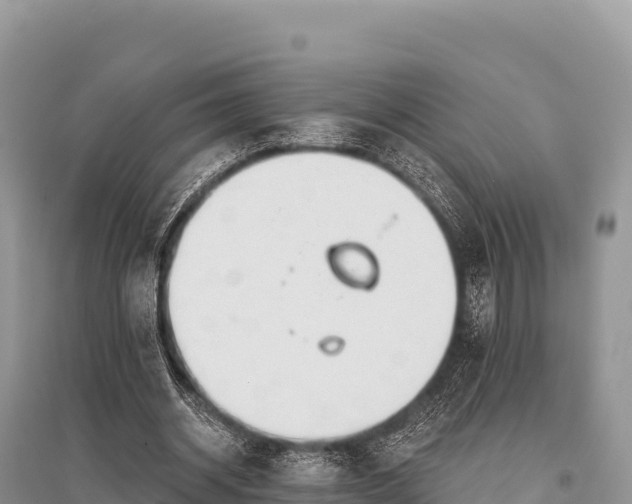 X0000096170534200801251153