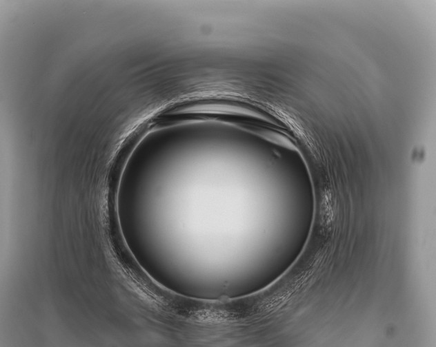 X0000096170535200801251153