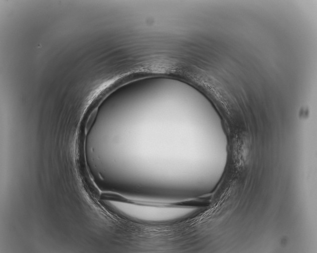 X0000096170536200801251153