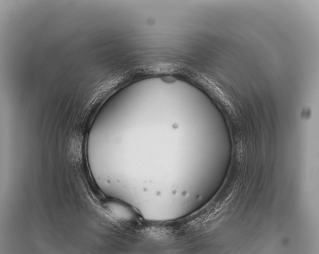 X0000096170537200801251153