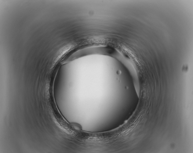 X0000096170538200801251153