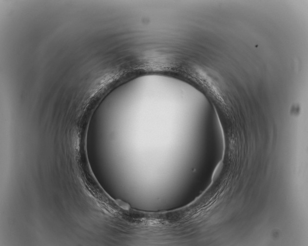 X0000096170539200801251153