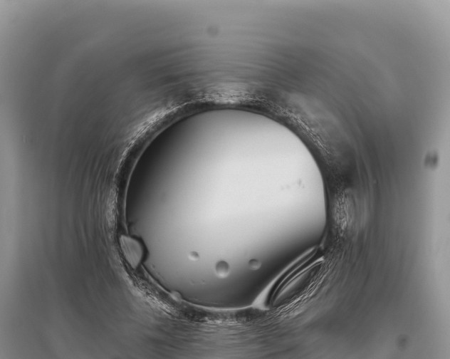 X0000096170540200801251153