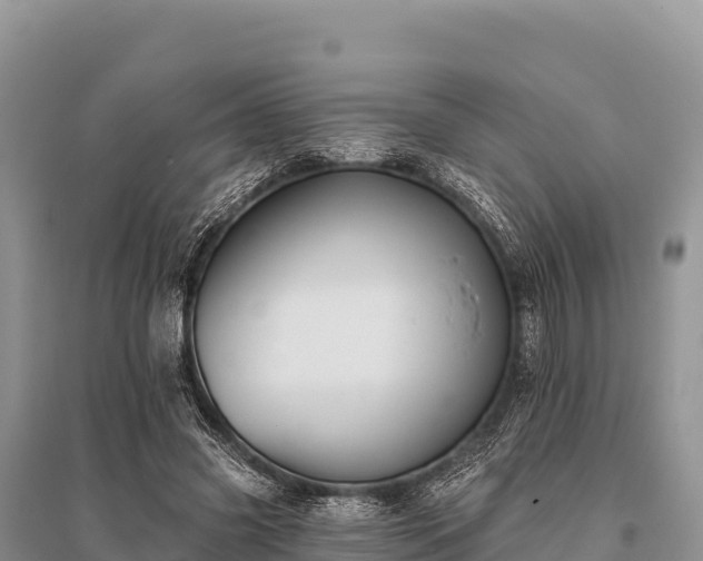 X0000096170541200801251153