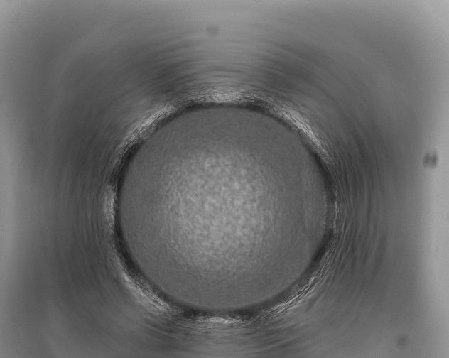 X0000096170542200801251153