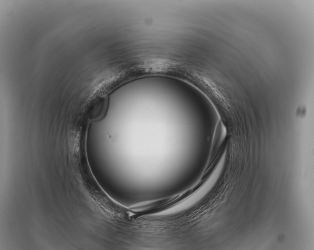 X0000096170543200801251153