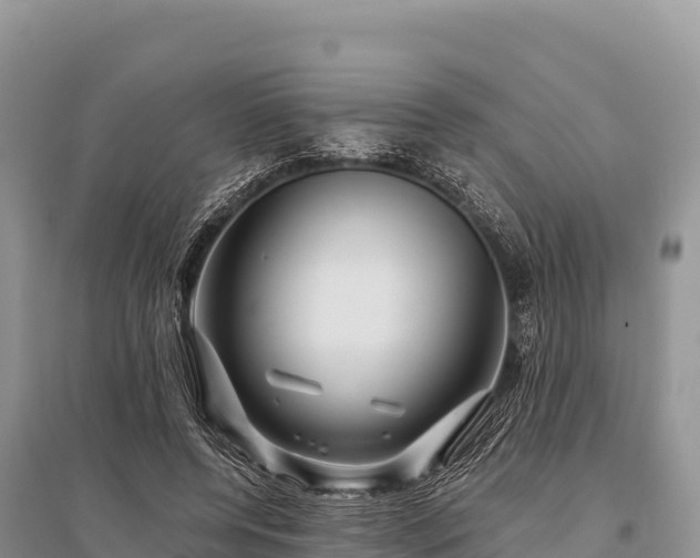 X0000096170544200801251153