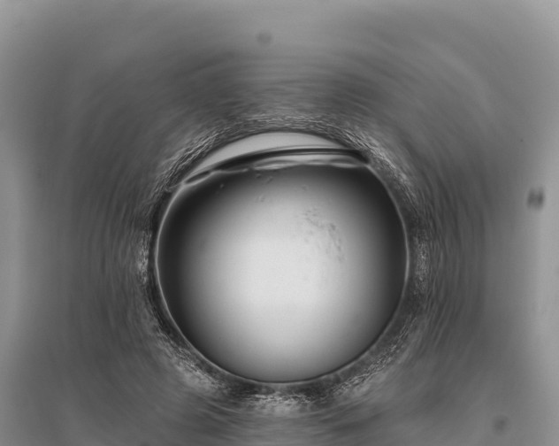 X0000096170545200801251153