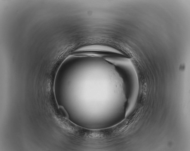 X0000096170546200801251153