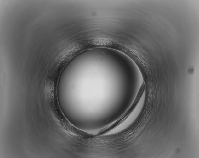 X0000096170547200801251153