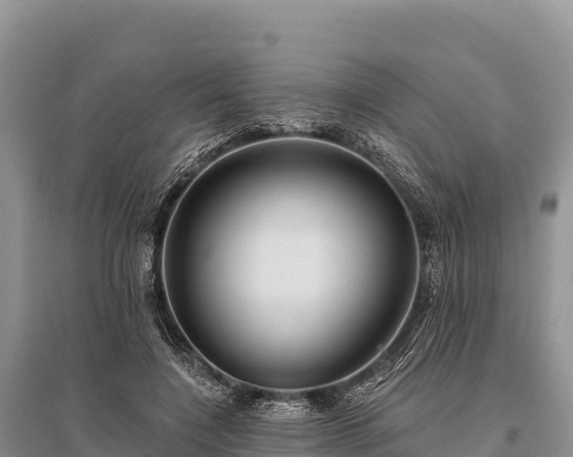 X0000096170548200801251153