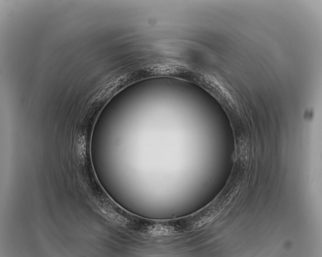 X0000096170549200801251153