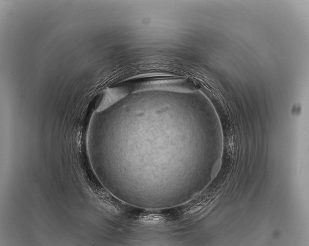 X0000096170551200801251153