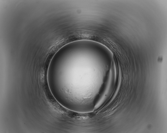 X0000096170552200801251153