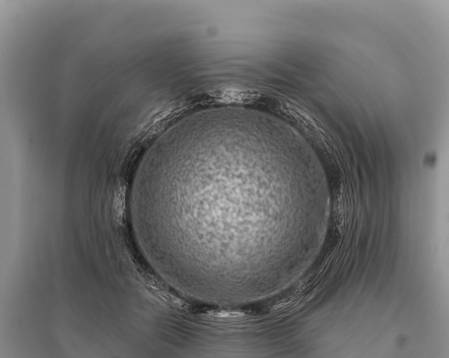 X0000096170554200801251153