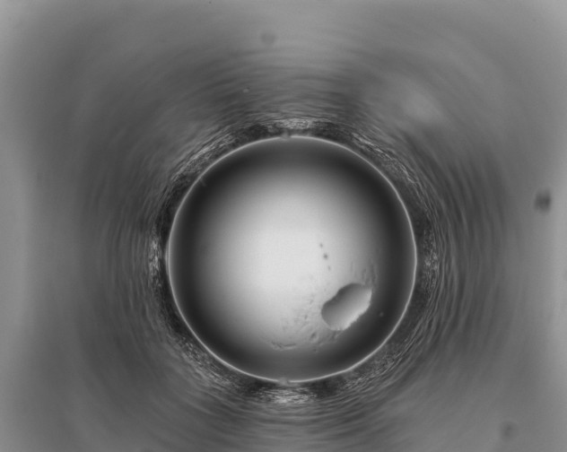 X0000096170555200801251153