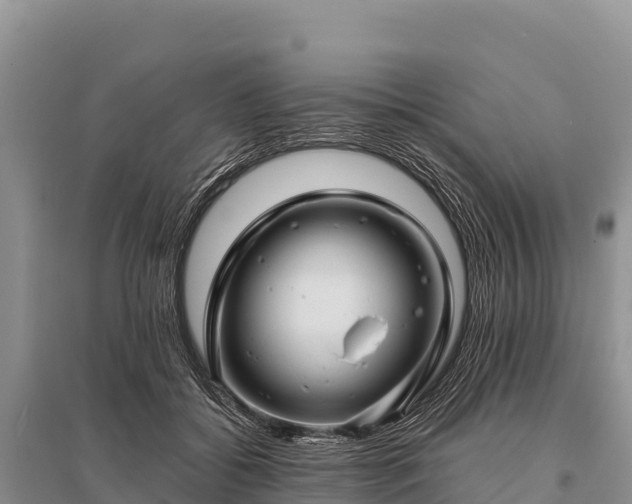 X0000096170556200801251153