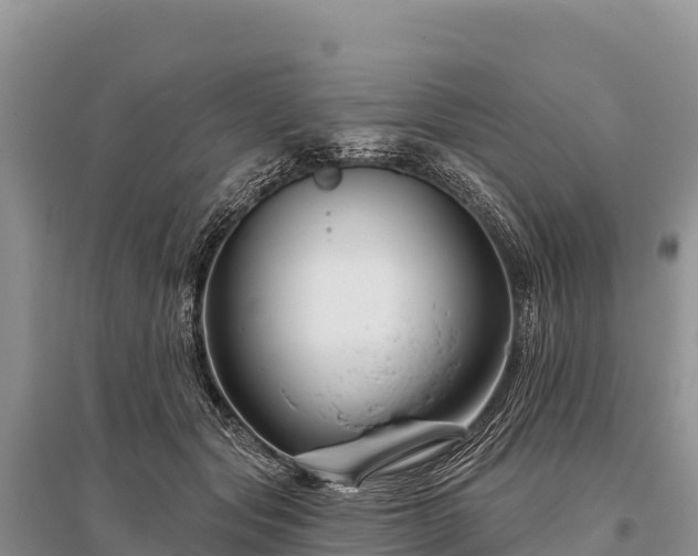 X0000096170557200801251154