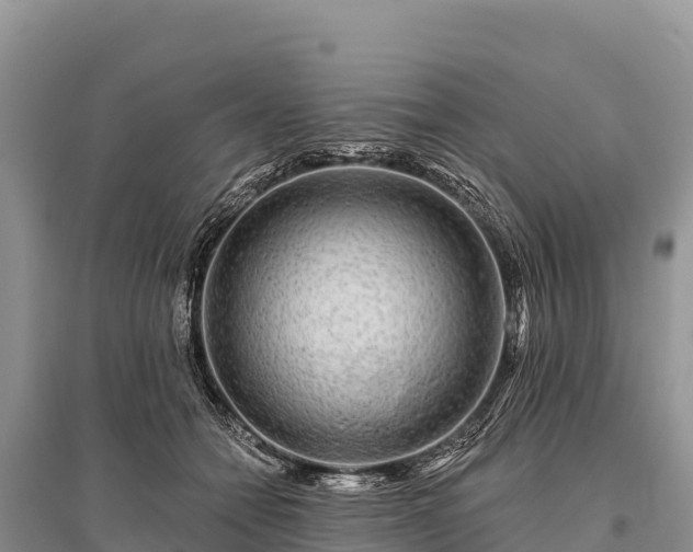 X0000096170558200801251154