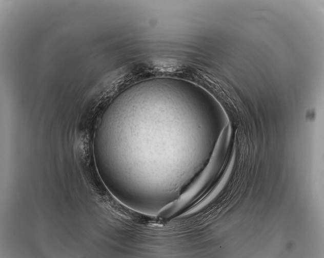 X0000096170559200801251154