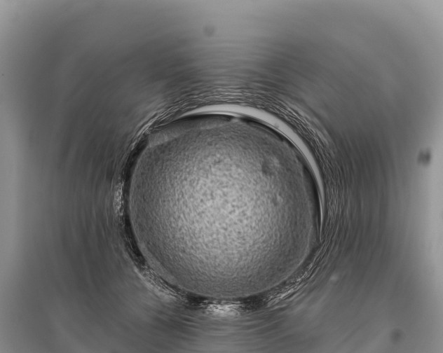 X0000096170560200801251154