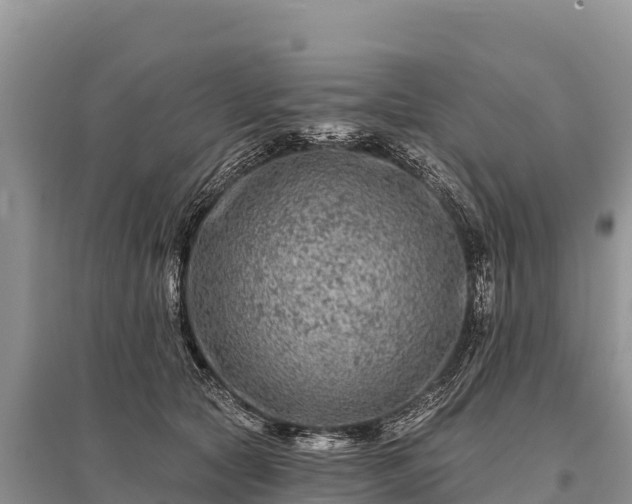 X0000096170561200801251154