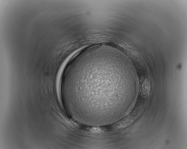 X0000096170562200801251154