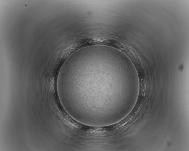 X0000096170563200801251154