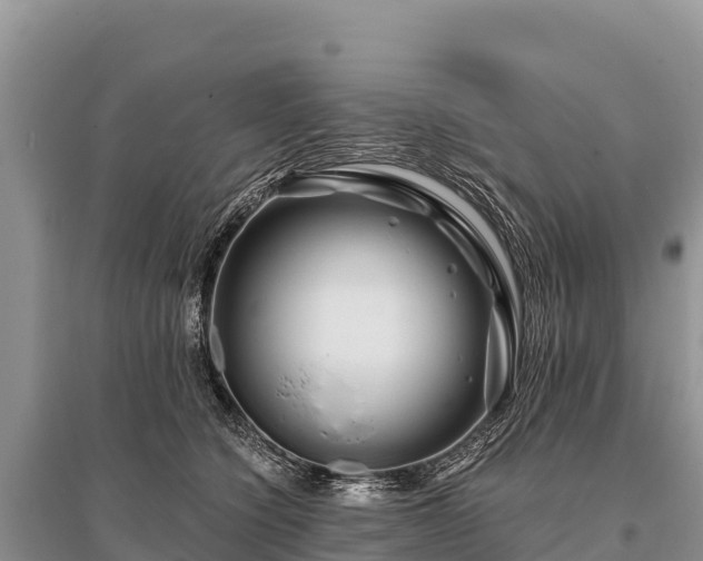 X0000096170564200801251154