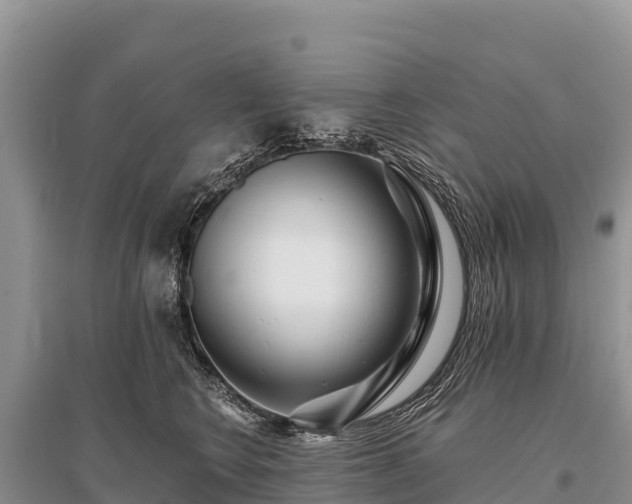 X0000096170566200801251154