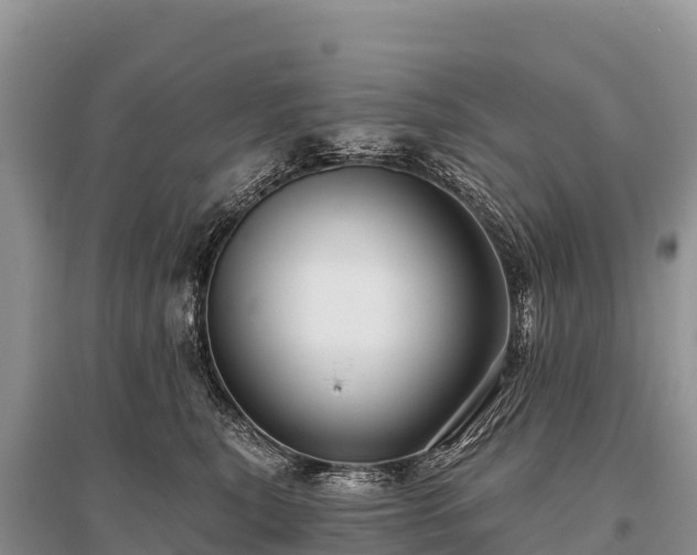 X0000096170567200801251154