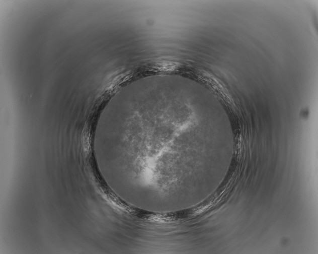 X0000096170568200801251154