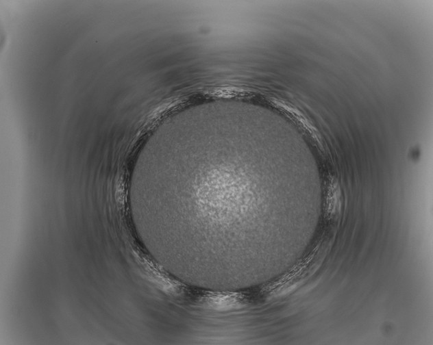 X0000096170569200801251154