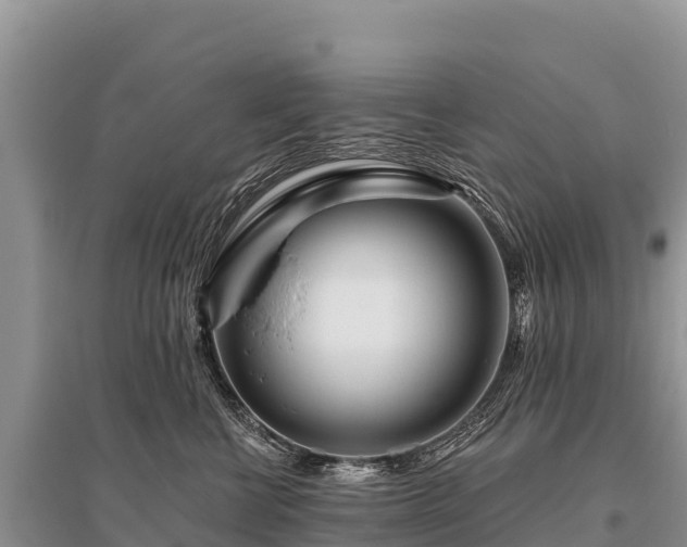 X0000096170570200801251154