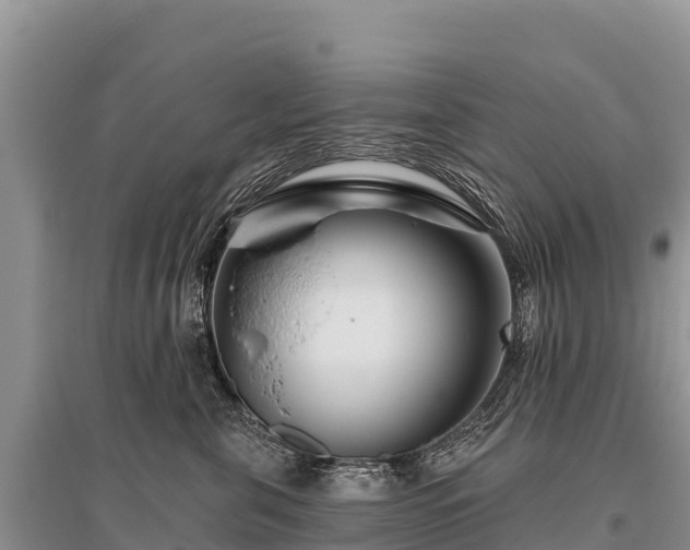 X0000096170571200801251154