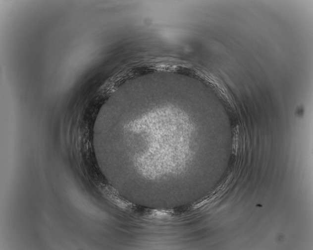 X0000096170573200801251154