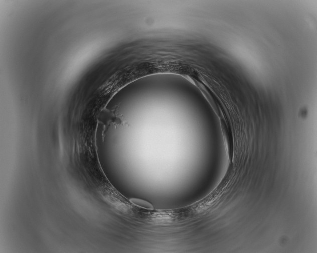 X0000096170574200801251154