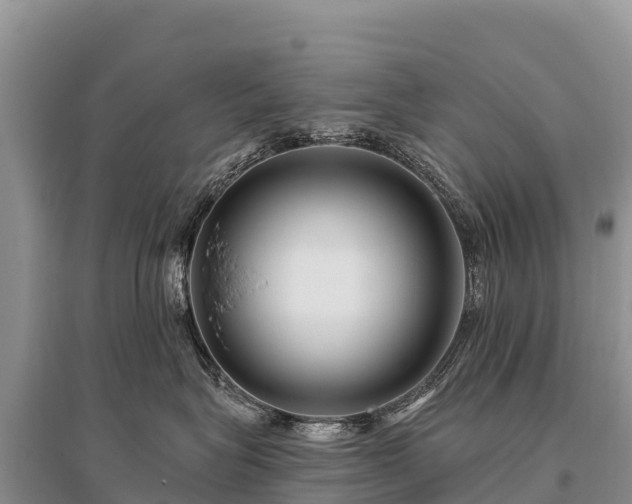 X0000096170575200801251154