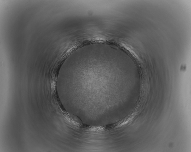 X0000096170576200801251154