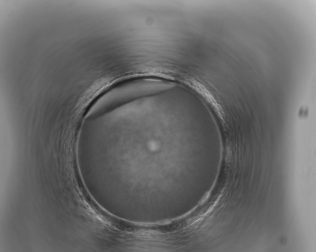 X0000096170577200801251153